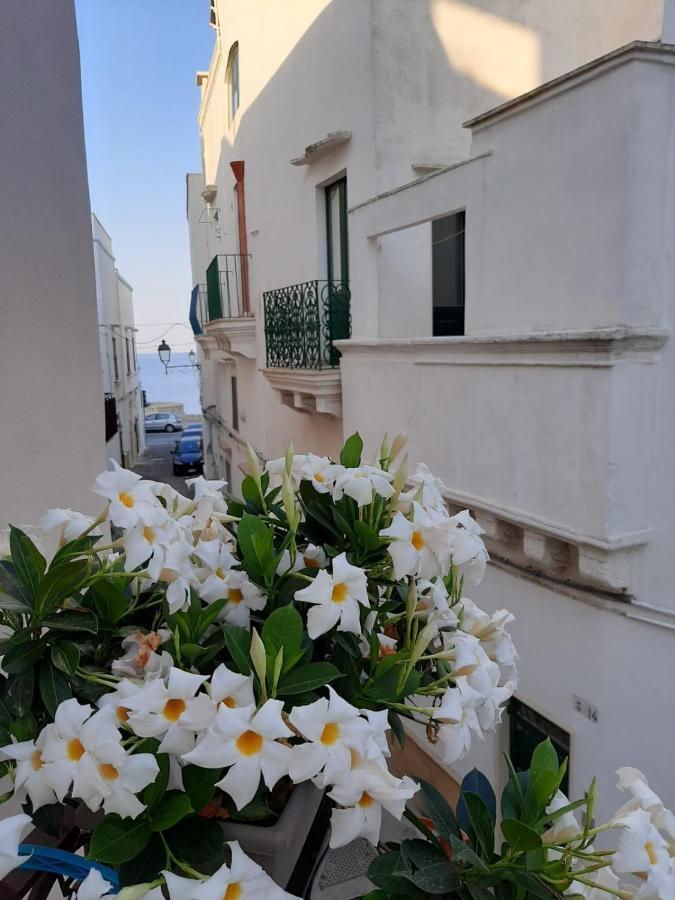 Fiore 2* Gallipoli